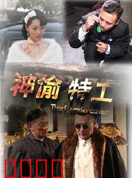 神偷特工：极限盗术