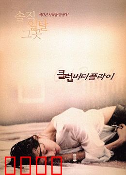 交换温柔：灵魂互换的浪漫