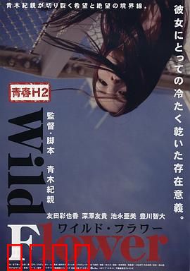 青春H2之狂野之花：失控的青春