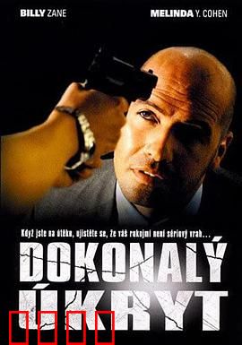 完美隐藏：躲藏中的致命陷阱