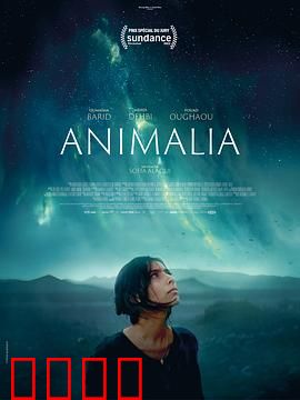 动物界：父爱变形记