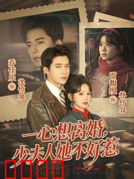 一心想离婚，少夫人她不好惹：离婚逆袭