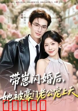 带崽闪婚后，她被豪门老公宠上天：甜蜜闪婚逆袭
