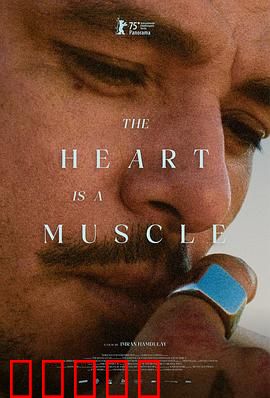 心如肌理：情感纹路